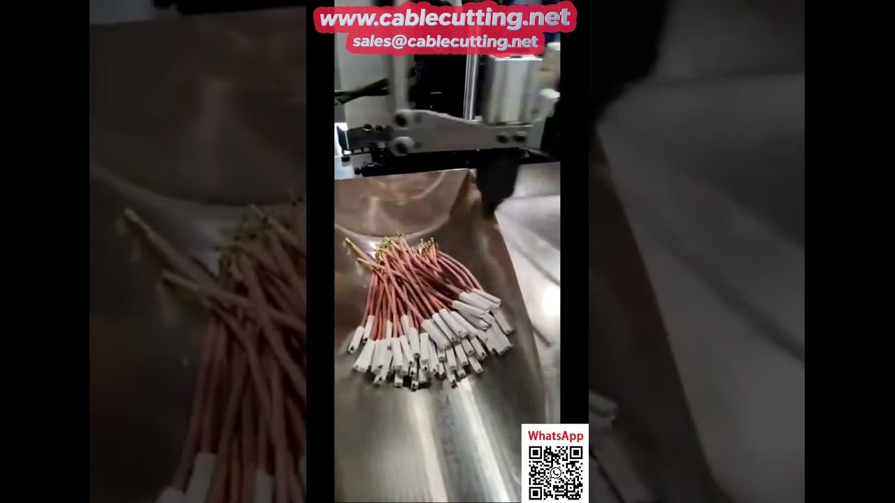 Automatic Dual-Head Crimping and Single-Head Housing Insertion Machine