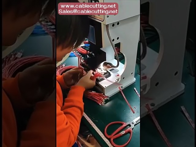 Free Sample Pre-Insulated Male Spade Terminal, Blue Color Crimp Wire Connector