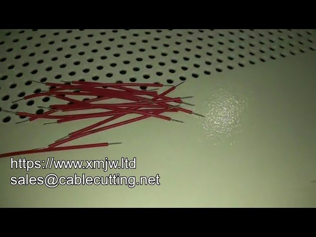 WPM-320 Automatic Double Wire Stripper and Cutting Machine