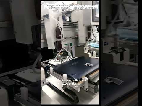 Intelligent Multi-Axis Online Type Screw Locking Robot Auto Screw Fastening Machine for Lamps and Keyboards