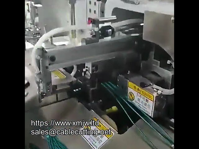 Fully Automatic Double Head Dip Tin Machine for 10-Wire Cutting, Stripping, and Twisting