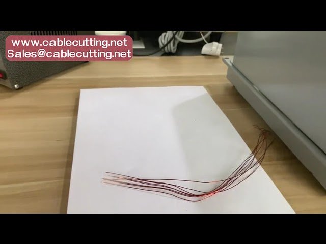 Magnet Enamel Wire Stripping Machine for Motor and Transformer Wire Stripper