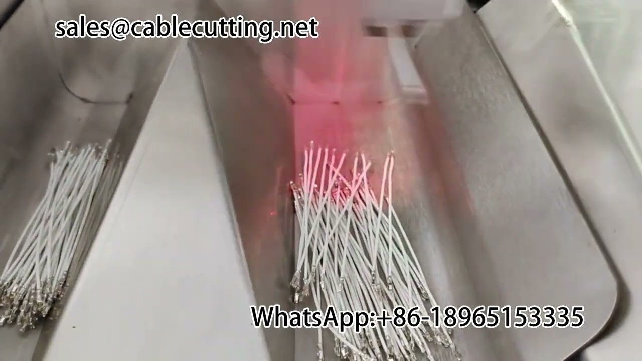 Double Head Termination Machine | Self-Service Automation Equipment | Stripping & Termina