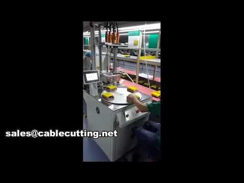 Automatic Screw Locking Machine WPM-803