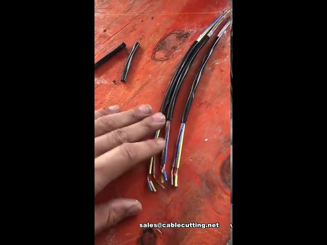 Automatic Sheath Cable Stripping Machine | Double Layer Wire Stripper