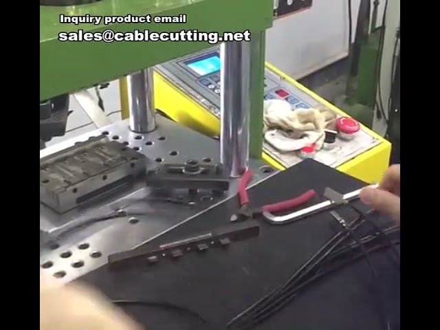 Connector Injection Molding Machine | Apple Head Plastic Injection Machine