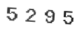 Verification Code Image