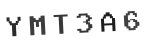 Verification Code Image