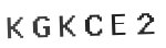 Verification Code Image