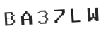 Verification Code Image