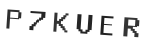 Verification Code Image
